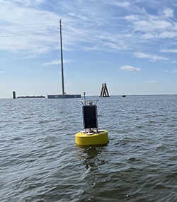 Baltimore Harbor CBIBS buoy in the water